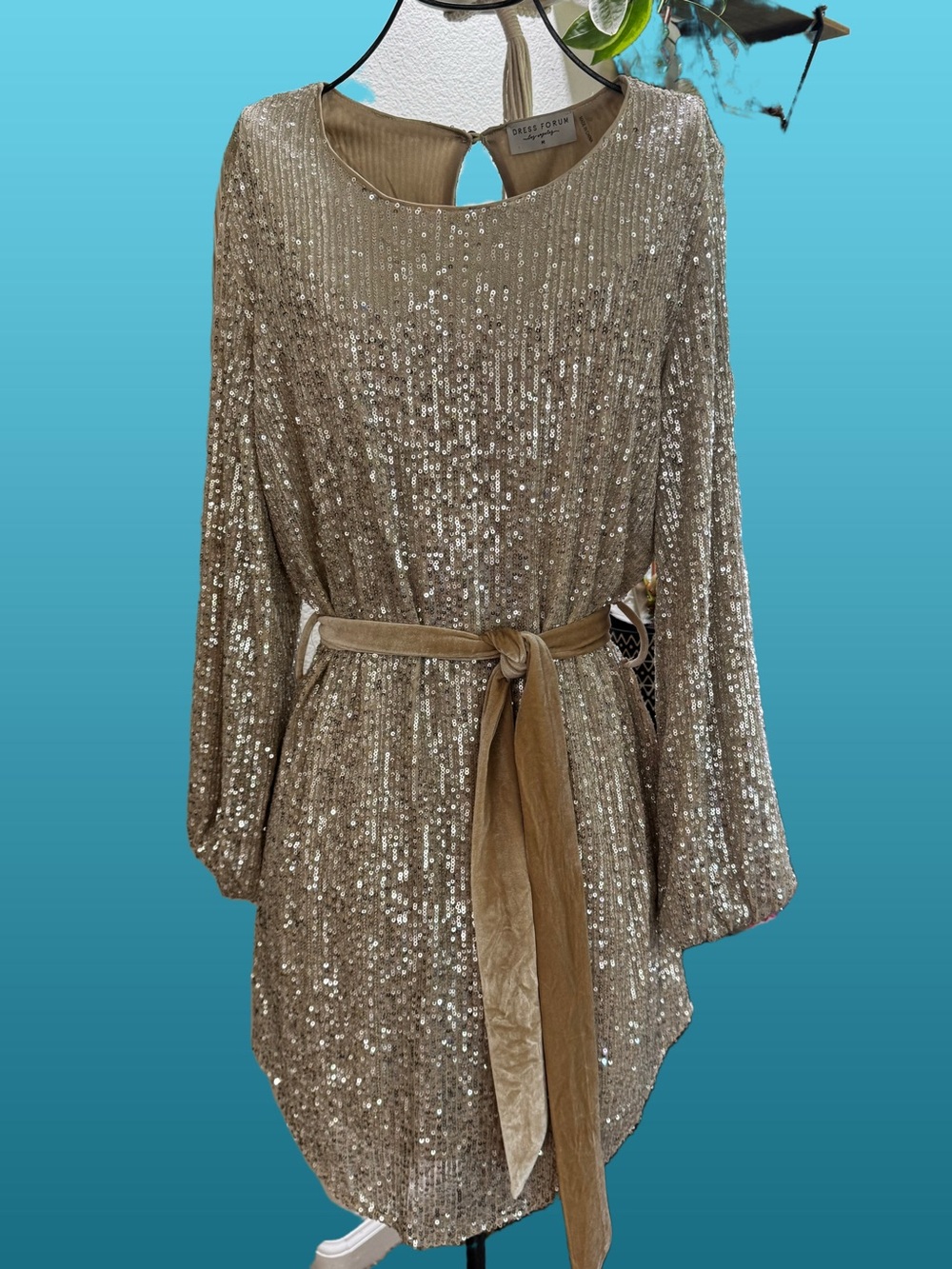 Dress Forum Champagne Sequin Dress